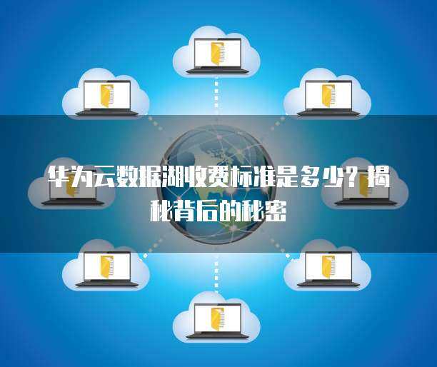 华为数据入湖标准 数据处理与存储服务的核心架构与实践